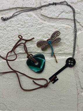 Dragón Fly hair clip Key Necklace bundle